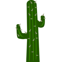 Cactus PNGs for Free Download