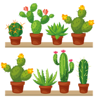 Crossstitch Succulent Plant Photography Cactaceae Stock PNG