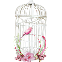 Cage bird PNG