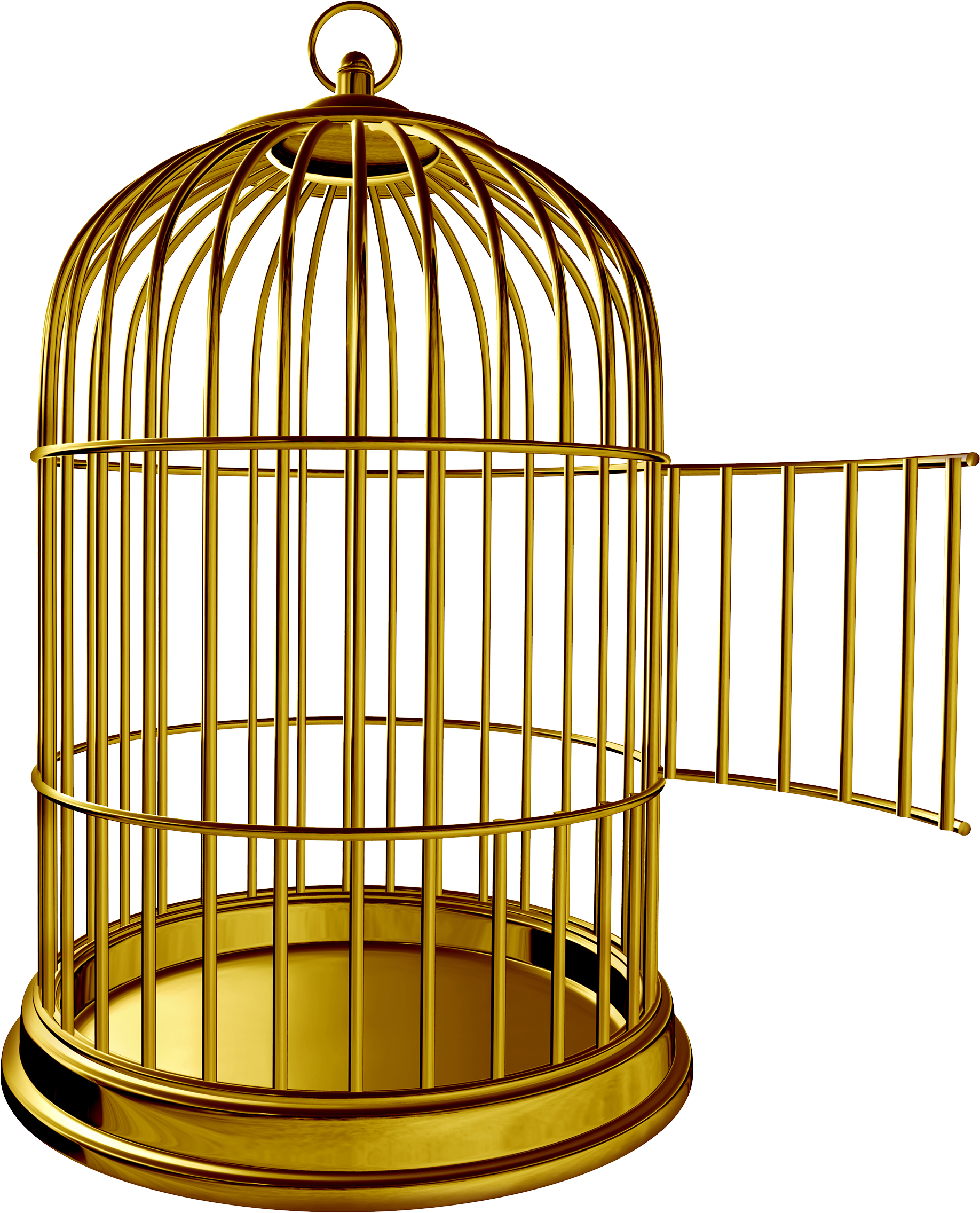 Cage bird Transparent PNG Image