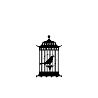 Cage bird PNG
