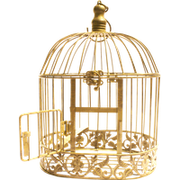 Cage bird PNG