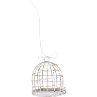 Cage bird PNG