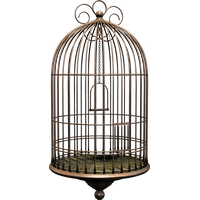 Cage bird PNG