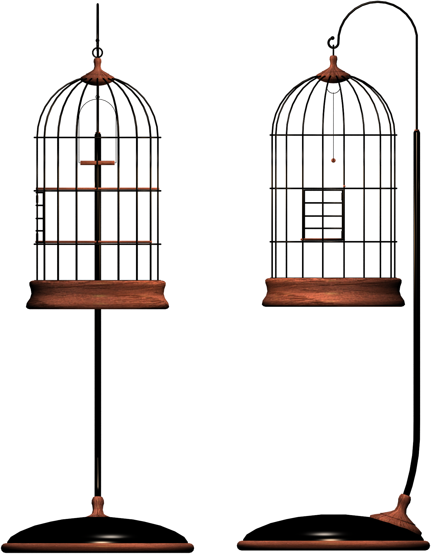 Cage bird Transparent PNG Image