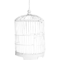 Cage bird PNG
