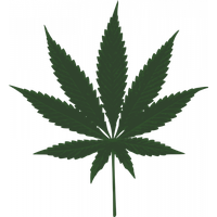 Cannabis PNG