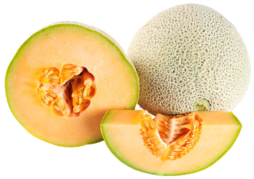 Cantaloupe Free HD Image Transparent PNG Image