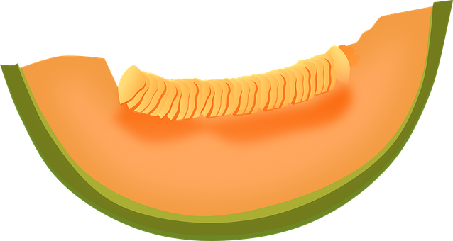 Cantaloupe Slices Free Download Image PNG Image