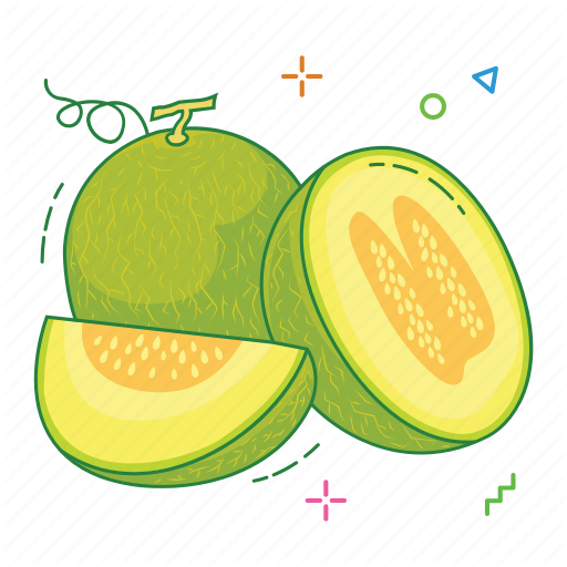 Cantaloupe Slices Download HQ PNG Image
