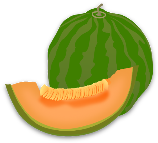 Cantaloupe Green Free Download PNG HQ PNG Image