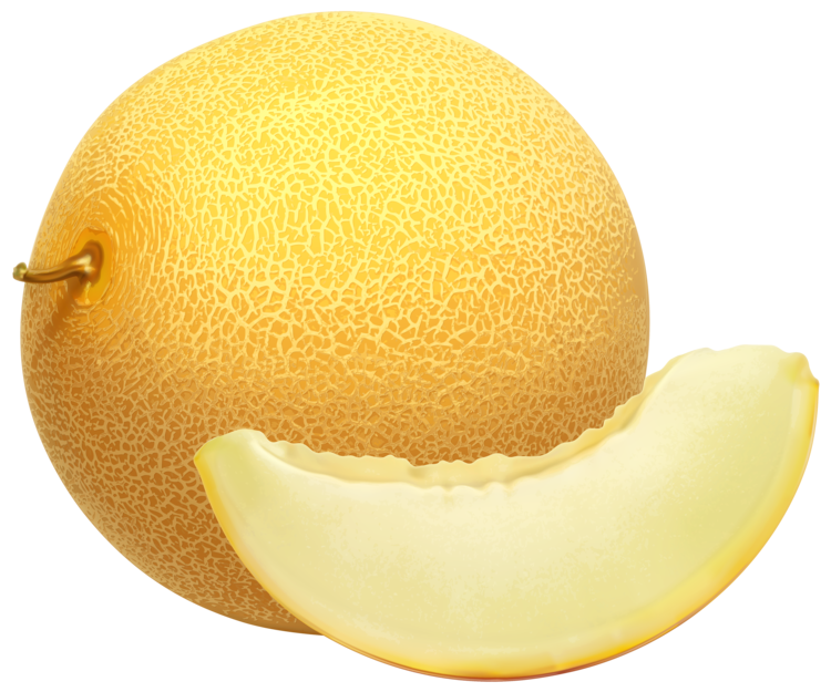 Cantaloupe Yellow PNG Image High Quality PNG Image