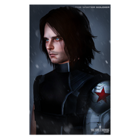 Sims Barnes Character Fictional Hair Bucky Black