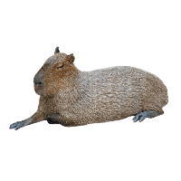 Capybara PNG