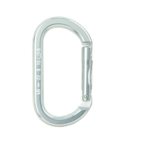 Carabiner PNG