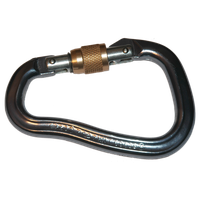 Carabiner PNG