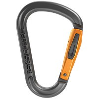 Carabiner PNG