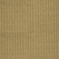 Carpet PNG