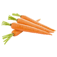 Carrot Png Image