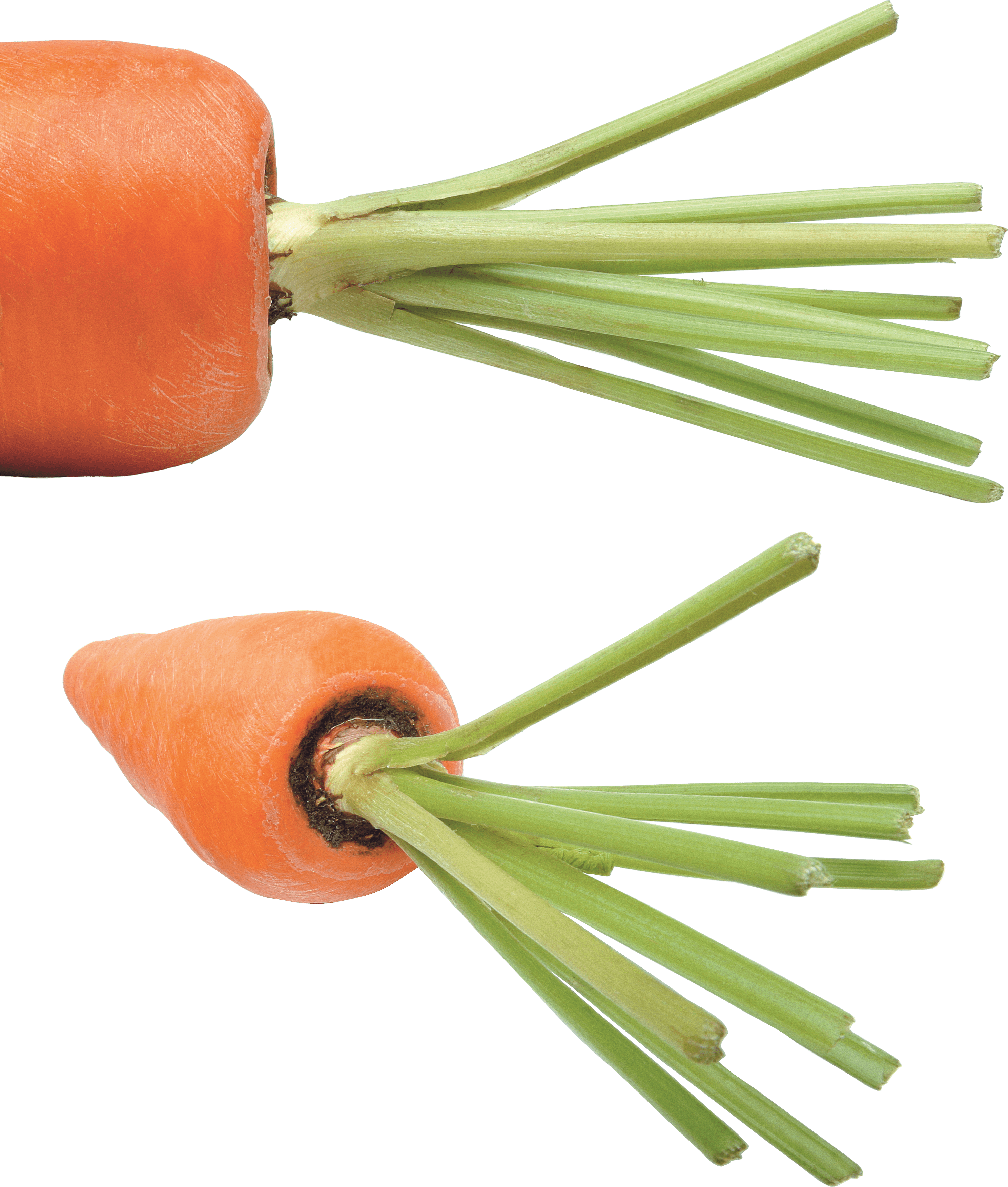 Carrot Png Image PNG Image