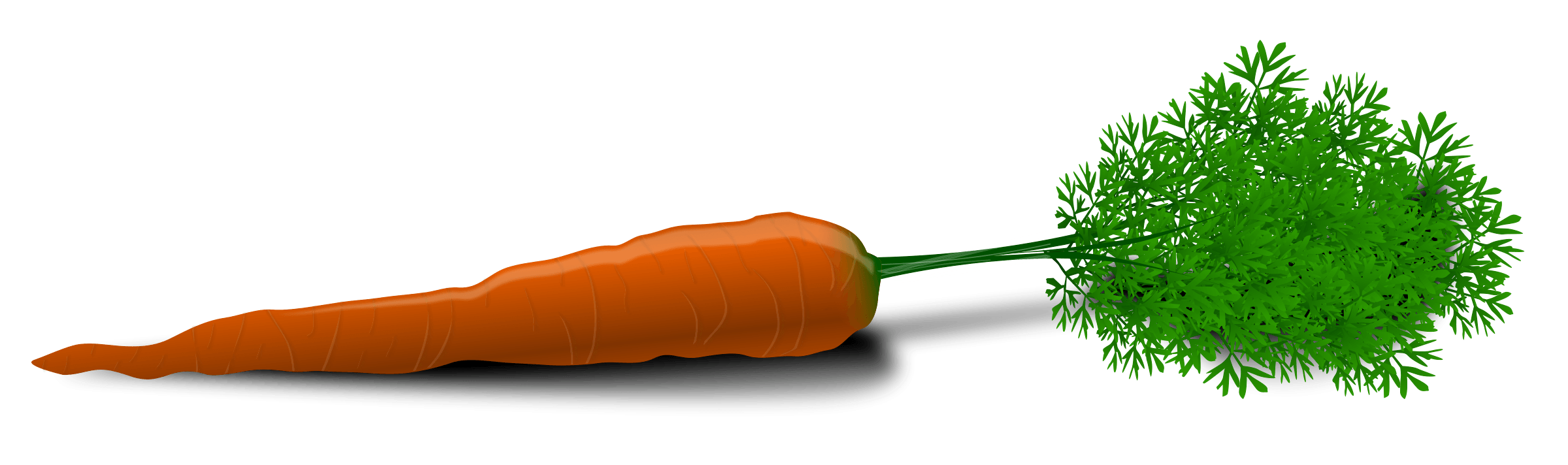 Carrot Png Image PNG Image