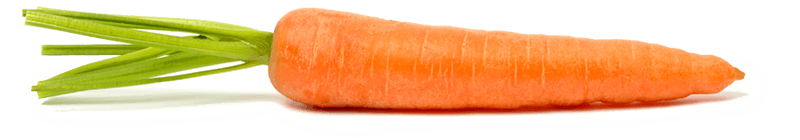 Carrot Vegetable PNG Image