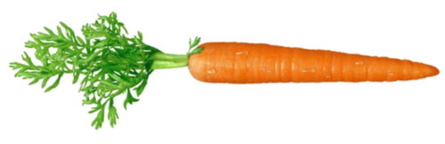 Carrot Transparent PNG Image