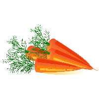 Carrot Png Image Transparent HQ PNG Download | FreePNGImg