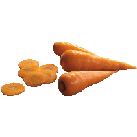 Download Carrot Free PNG photo images and clipart | FreePNGImg