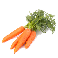 Download Carrot Free PNG photo images and clipart | FreePNGImg