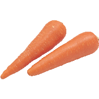 Carrot Png Image