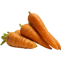 Carrot Png Image