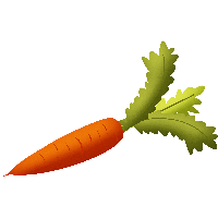 Carrot Png Image