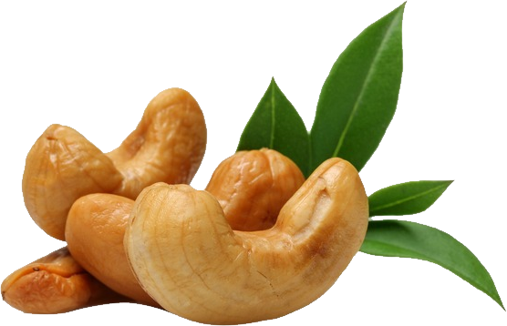 Nut Cashew Organic Download HQ PNG Image