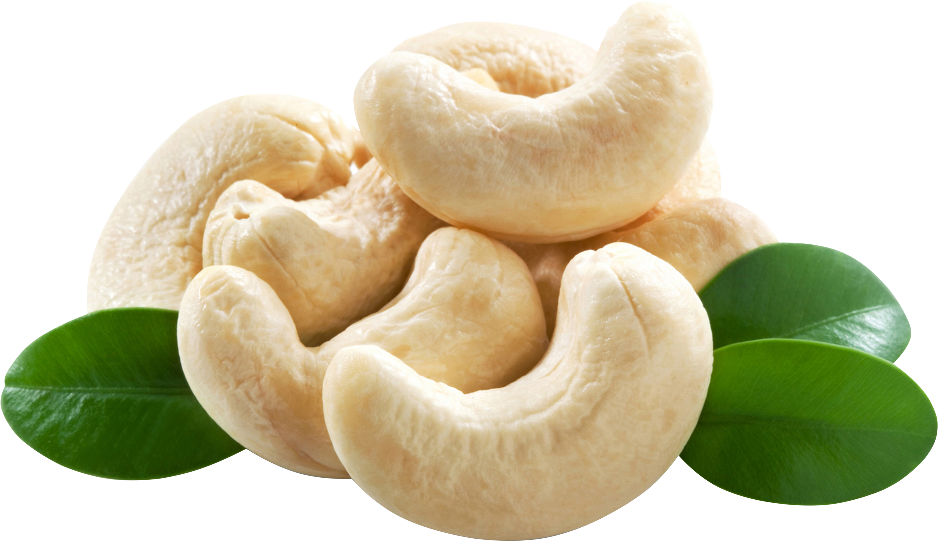 Nut Cashew Organic PNG Free Photo PNG Image