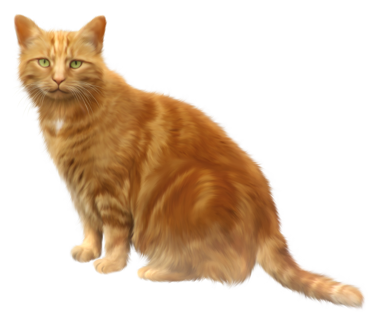 Cat Png 11 PNG Image