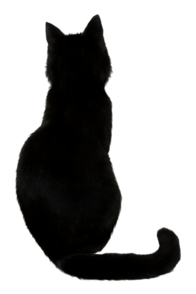 Vector Black Cat Free Transparent Image HQ PNG Image