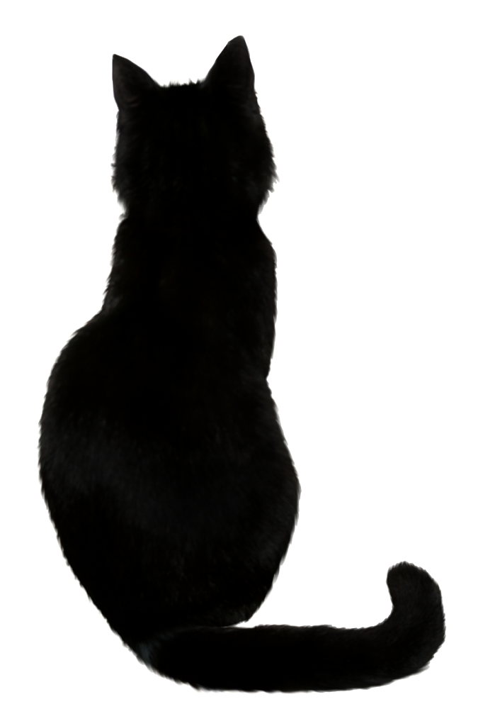 Vector Black Cat Free Transparent Image HQ Transparent PNG Image