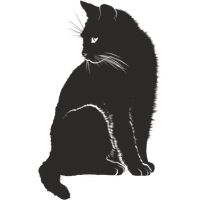 Download Cat Free PNG photo images and clipart | FreePNGImg