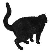 Download Cat Free PNG photo images and clipart | FreePNGImg