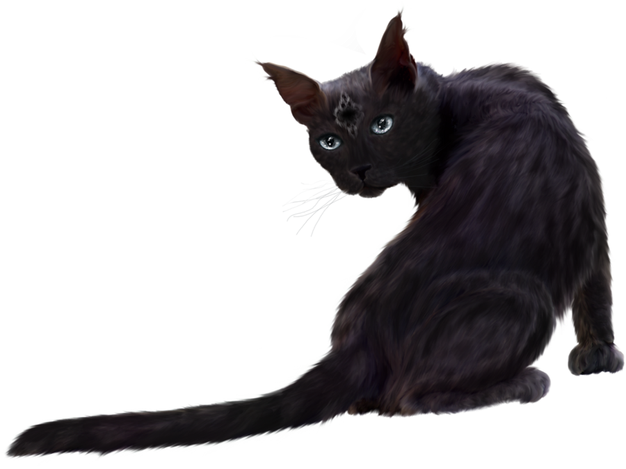 Black Cat Clipart PNG Image