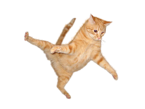 Cat Png 6 PNG Image