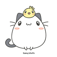 Sticker Photography Cat Free Download PNG HQ