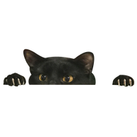 Sized Medium Wallpaper Munchkin Desktop Snout To PNG