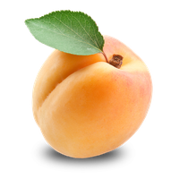 Apricot Image