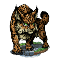 Lynx Image