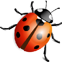 ladybug PNG image transparent image download, size: 3118x2692px