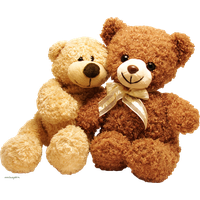 bear PNG transparent image download, size: 3364x2644px