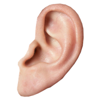 Ear Image