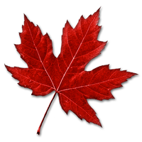 Maple Leaf PNG Category